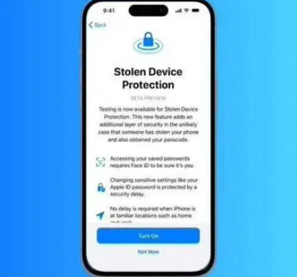 临翔苹果授权维修店分享被盗设备保护功能开启方法 