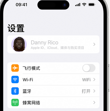 临翔appleID维修服务iPhone设置中Apple ID显示为灰色无法使用 