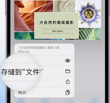 临翔apple维修中心分享iPhone文件应用中存储和找到下载文件