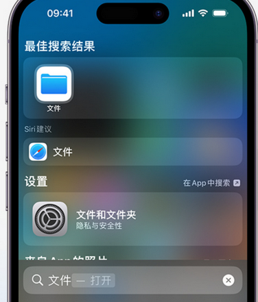 临翔apple维修中心分享iPhone文件应用中存储和找到下载文件 