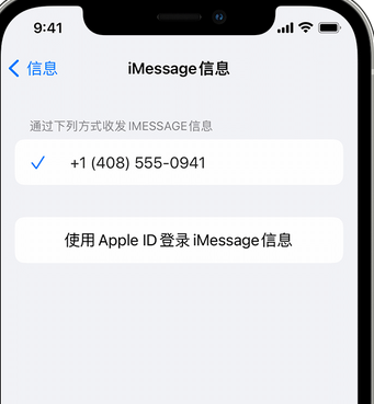 临翔apple维修iPhone上无法正常发送iMessage信息 