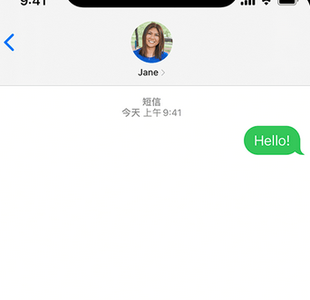 临翔apple维修iPhone上无法正常发送iMessage信息