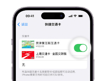 临翔apple维修点分享iPhone上更换Apple Pay快捷交通卡手绘卡面 