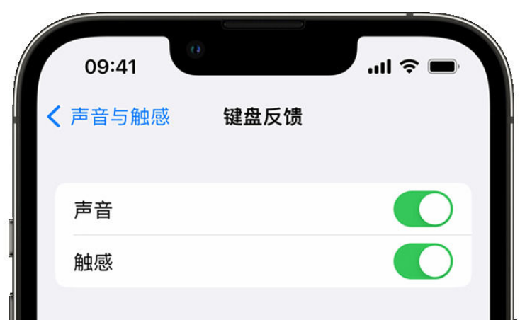 临翔苹果手机维修分享iPhone 14触感键盘使用方法 