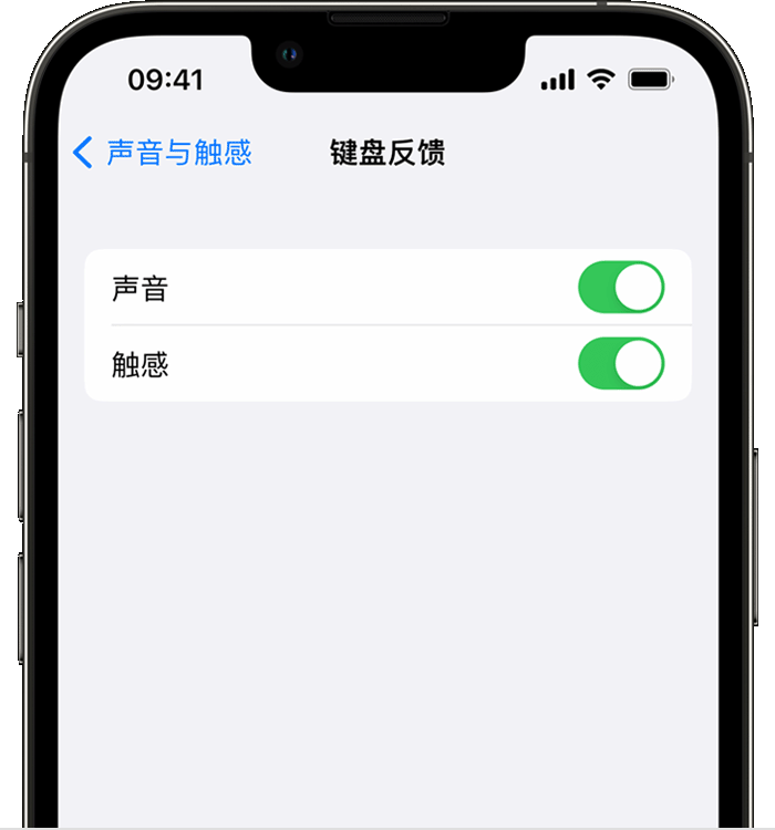 临翔苹果14维修店分享如何在 iPhone 14 机型中使用触感键盘 