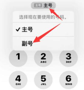 临翔苹果14维修店分享iPhone 14 Pro Max使用副卡打电话的方法 