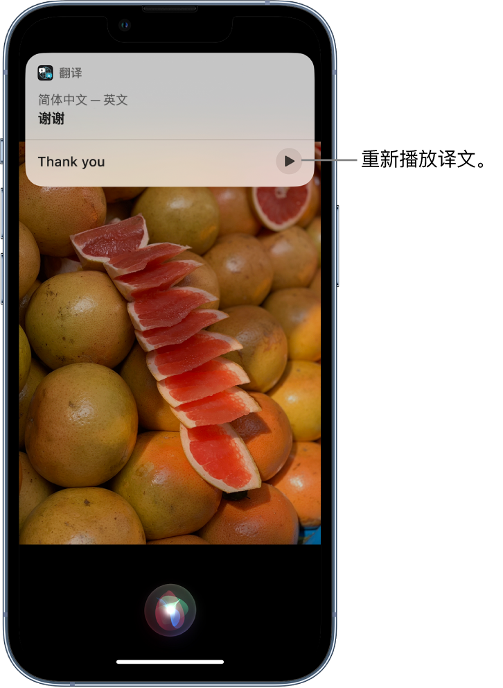 临翔苹果14维修分享 iPhone 14 机型中使用 Siri：了解 Siri 能帮你做什么 