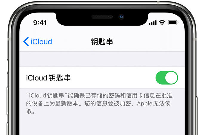 临翔苹果手机维修分享在 iPhone 上开启 iCloud 钥匙串之后会储存哪些信息 