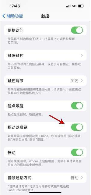 临翔苹果手机维修分享iPhone手机如何设置摇一摇删除文字 