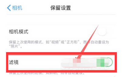 临翔苹果13维修分享iPhone13拍照有绿点是怎么回事 