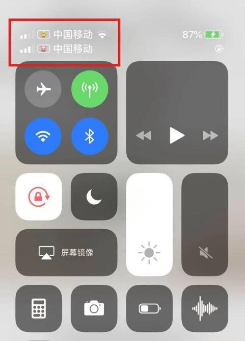临翔苹果手机维修分享为 iPhone 12 双卡设置标签 